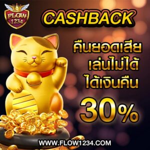 Cashback30per flow1234